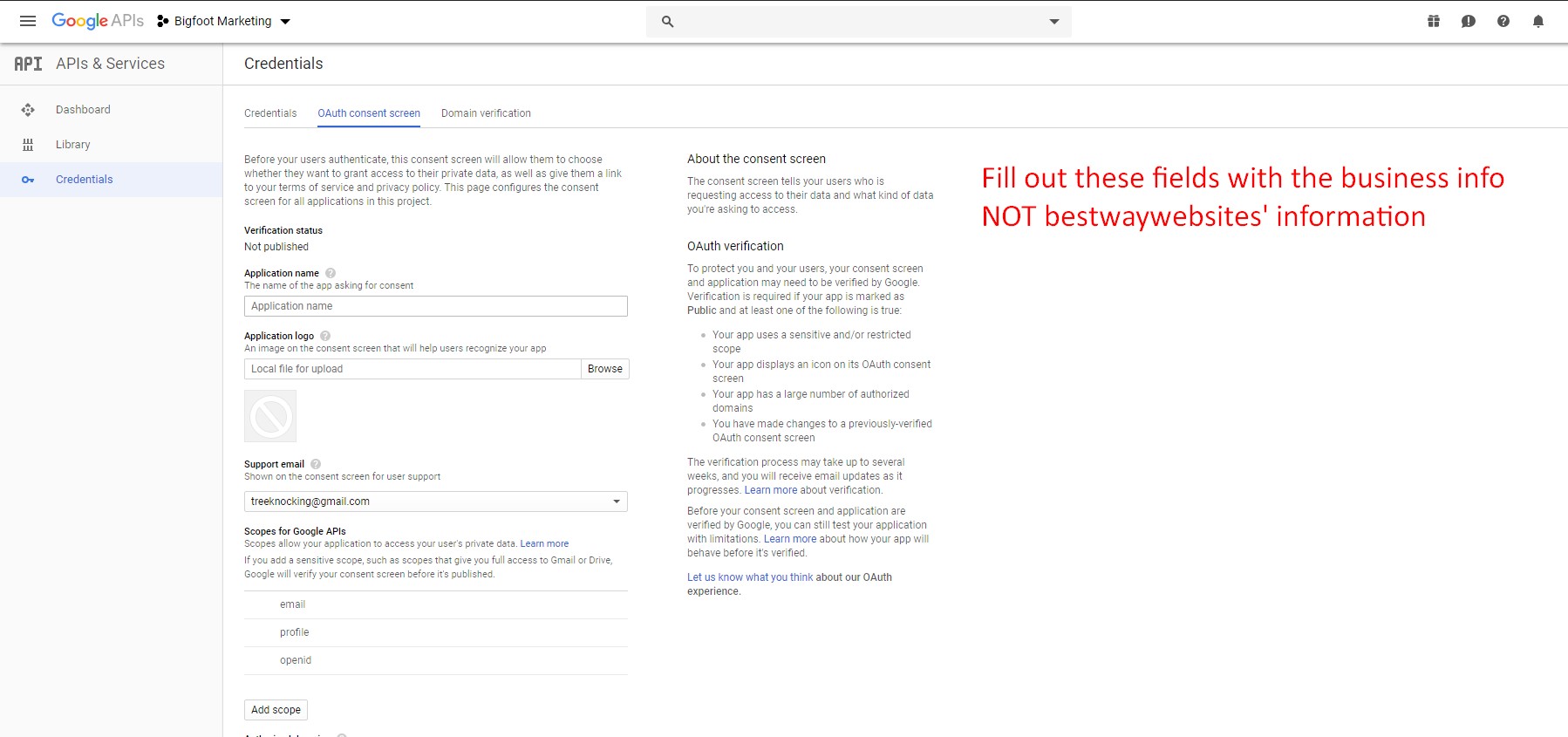 Step 20. Fill out the OAuth consent screen information with your business information Step 20. Fill out the OAuth consent screen information with your business information